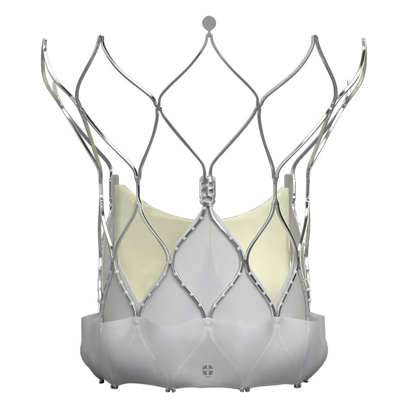 Транскатетерный аортальный клапан Abbott Navitor