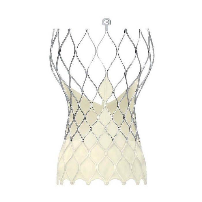 Транскатетерный аортальный клапан Medtronic Evolut FX