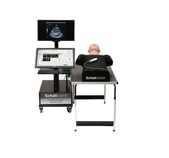 Учебный симулятор ШЭЛЛ для ультразвуковой диагностики