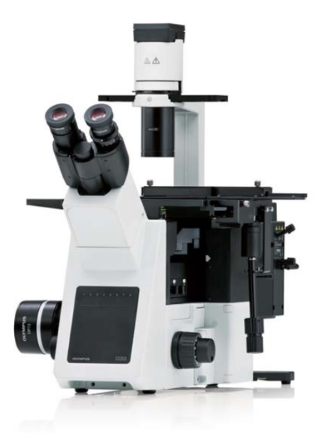 Микроскоп Olympus IX53P1F