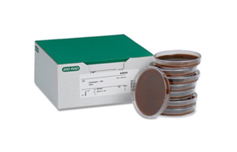 Агар шоколадный + PVS (поливитаминные добавки) + антибиотики VCAT (чашки Петри) / Chocolate + P.V.S. + VCAT