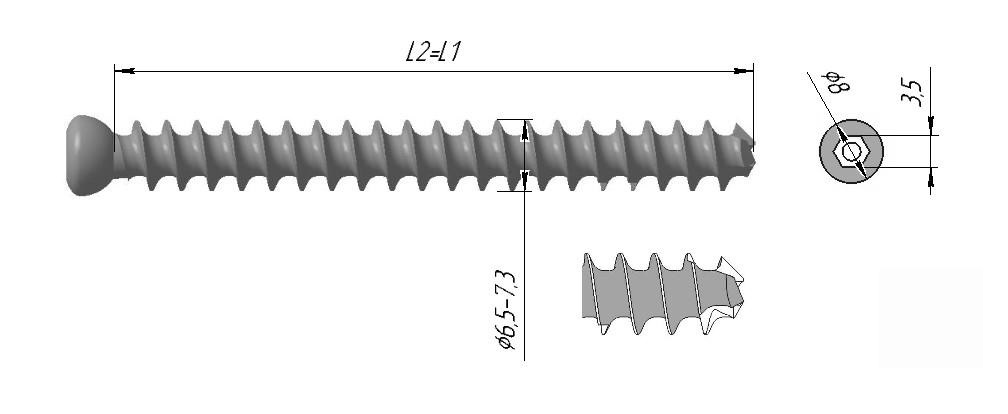 Винт спонгиозной, тип 2, тип 2К, L2 = L1