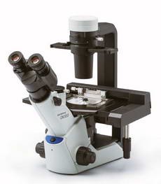 Микроскоп Olympus CKX53SF