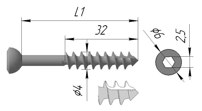 Винт спонгиозной, тип 1, L2 =32 мм