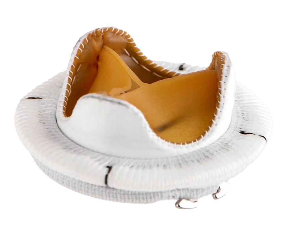 Биологический протез клапана сердца МедИнж–БИО