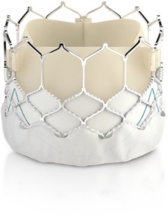 Транскатетерный клапан Edwards Sapien 3