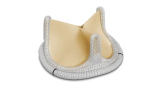 Аортальный клапан Carpentier-Edwards PERIMOUNT Magna Ease