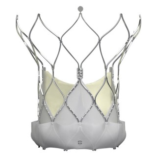 Транскатетерный аортальный клапан Abbott Navitor