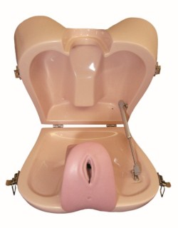 Тренажер гистероскопии ETXY-Hystero (ЕВА Гистеро)