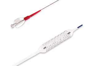 Коронарный стент Balton ALEX