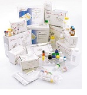 Набор реагентов РеалБест ВГВ / ВГС / ВИЧ ПЦР