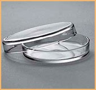 Чашка Петри МиниМед 100×20 мм (11000213)