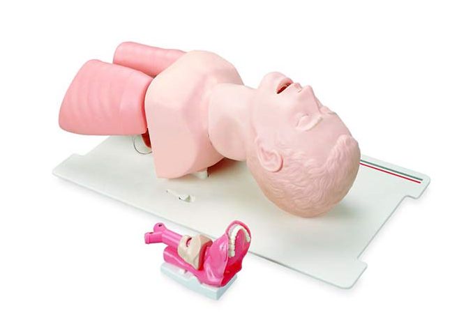 Тренажер Laerdal LAMT Airway Management Trainer для интубации взрослого пациента